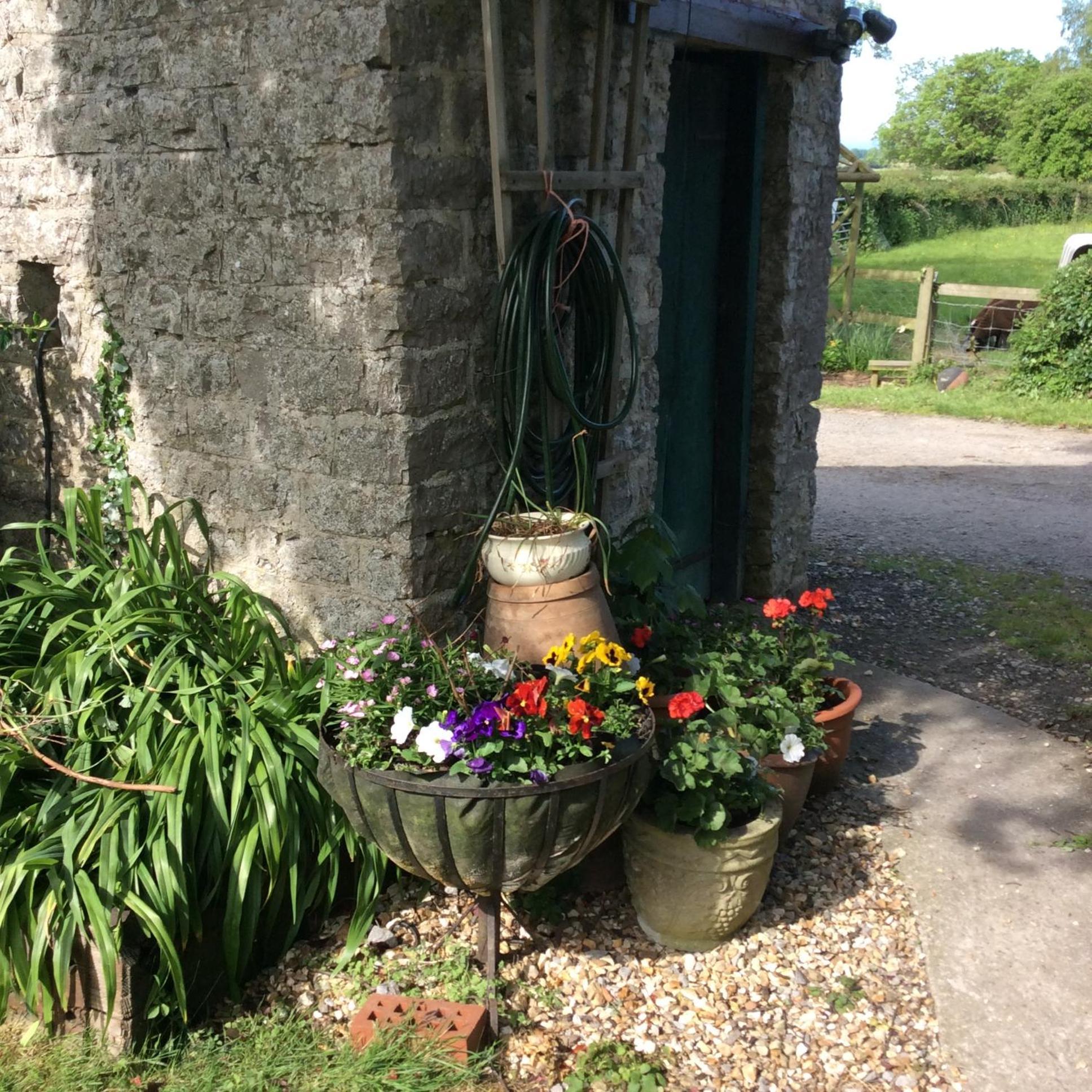Poplar Farm Bed & Breakfast Wedmore Ngoại thất bức ảnh